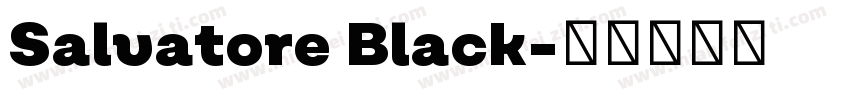 Salvatore Black字体转换